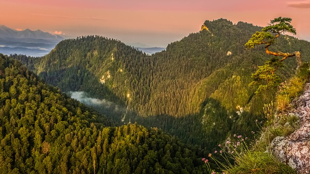 Loty nad przepaścią: Skoki na bungee i skoki ze spadochronem z mostów i wieżowców